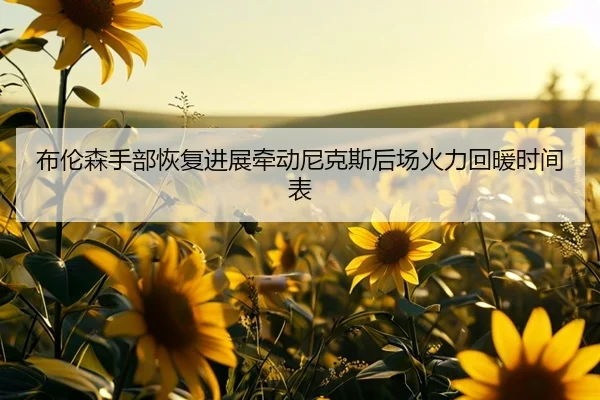 bu-lun-sen-shou-bu-hui-fu-jin-zhan-qian-dong-ni-ke-si-hou-chang-huo-li-hui-nuan-shi-jian-biao-2-562.jpg